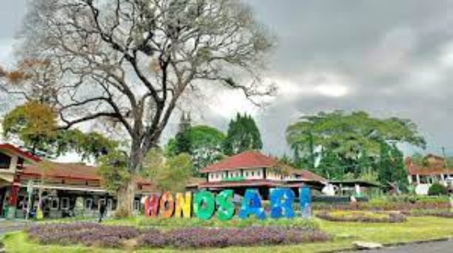 9 Tempat Wisata Kebun Teh Terbaik di Indonesia